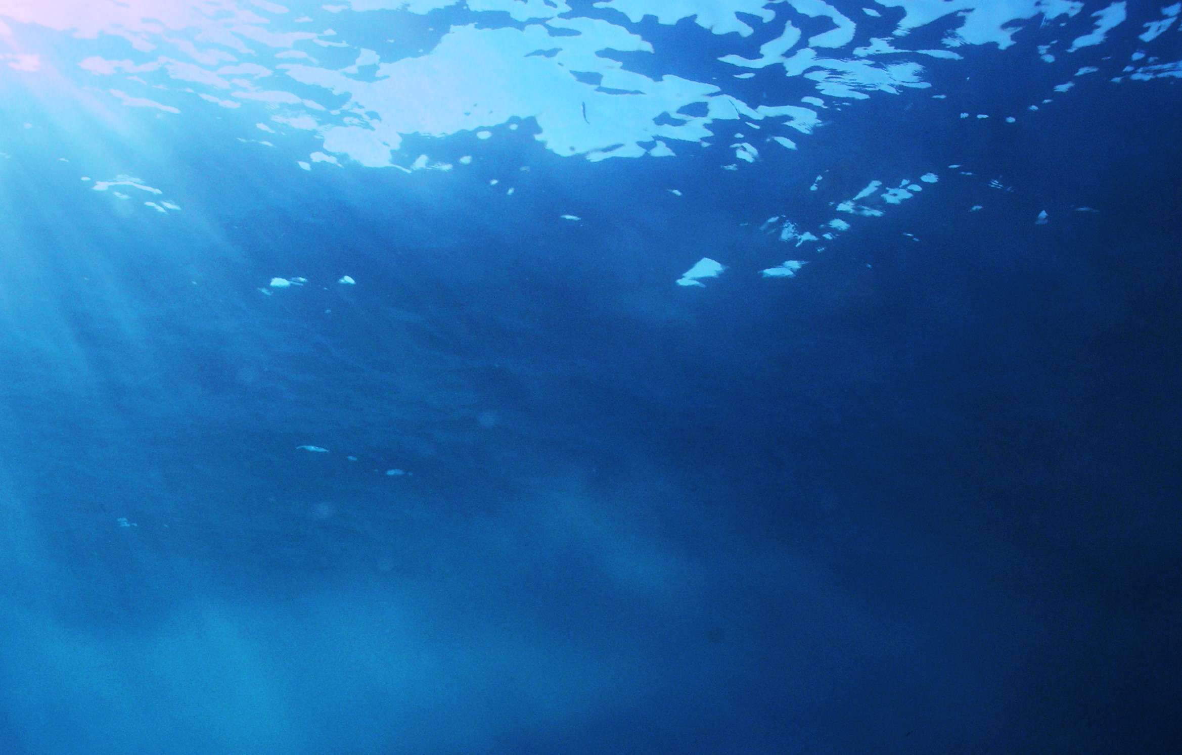 cretaquarium educational programs