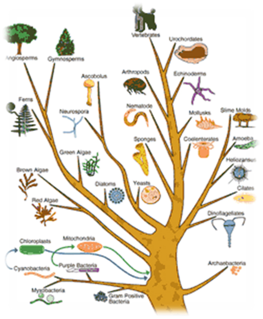 cretaquarium educational programs