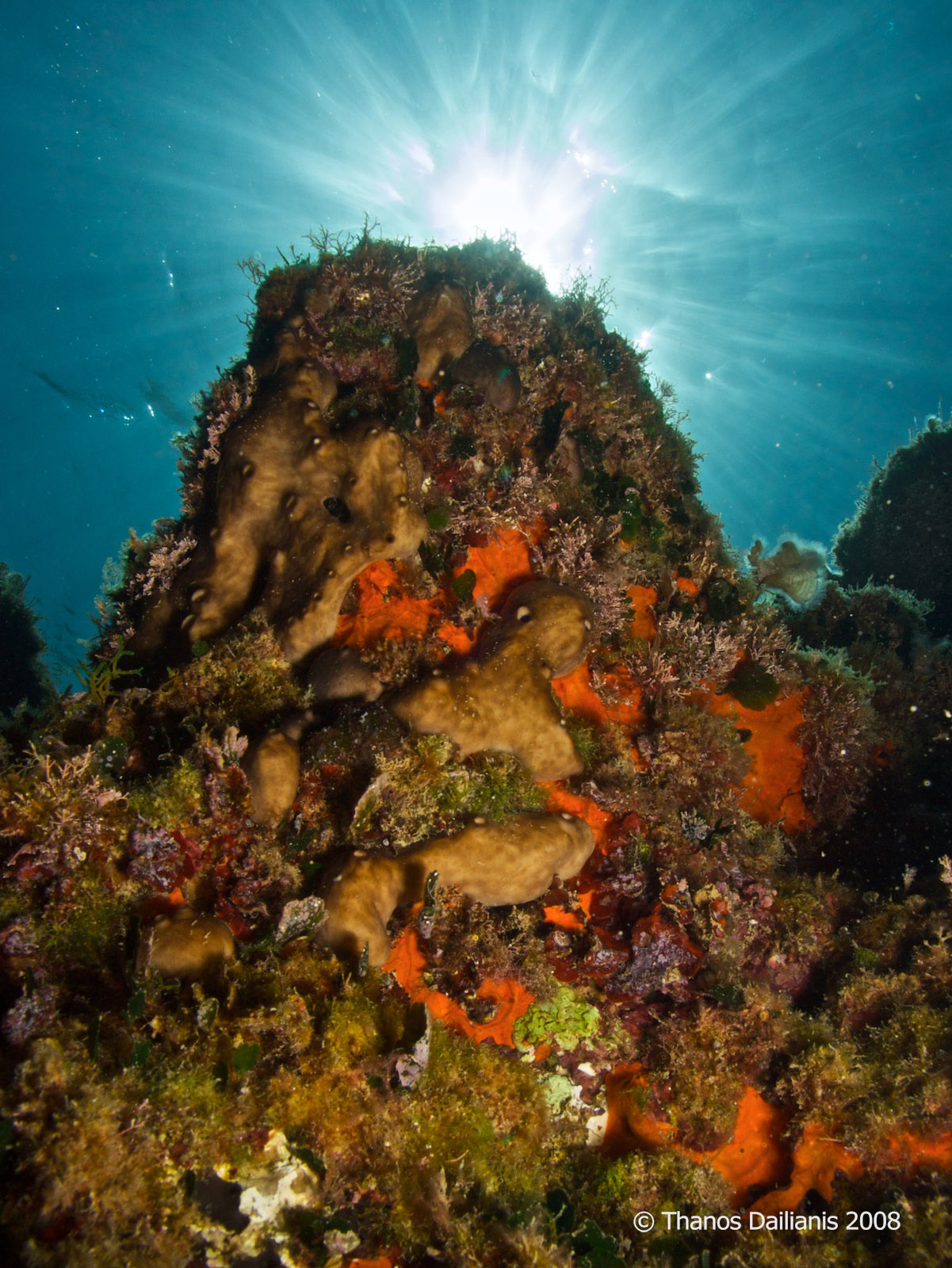 cretaquarium educational programs