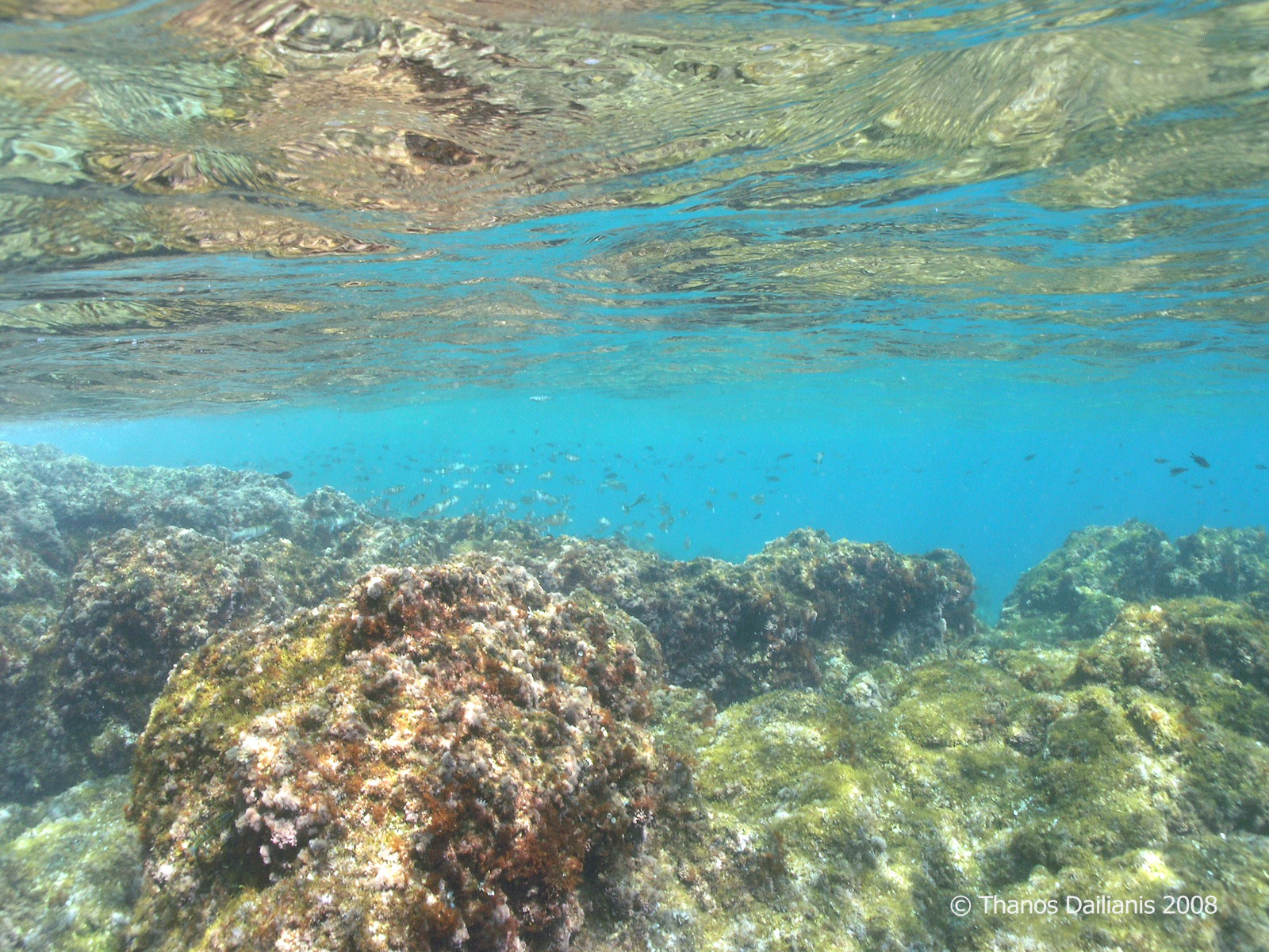 cretaquarium educational programs