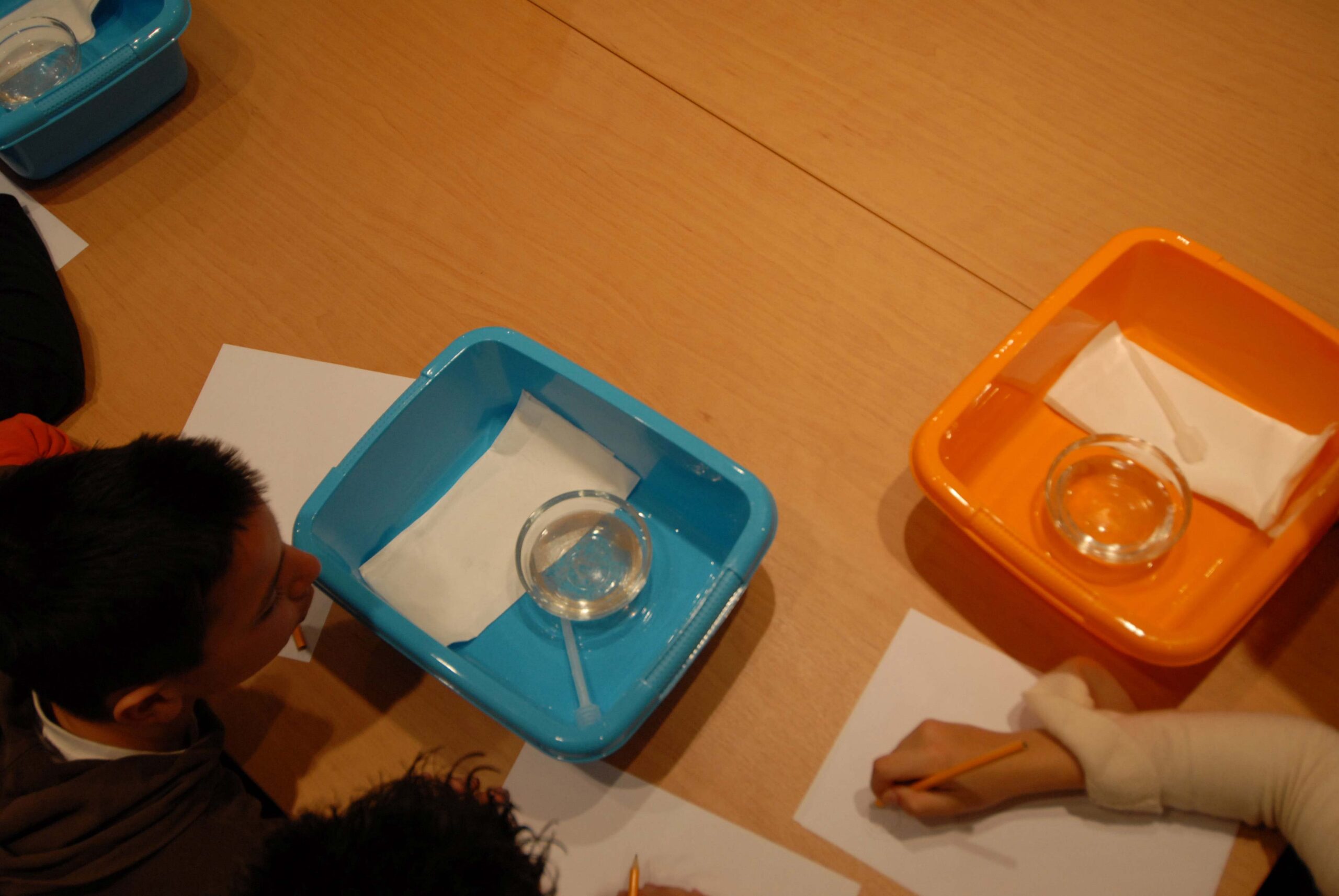 cretaquarium educational programs