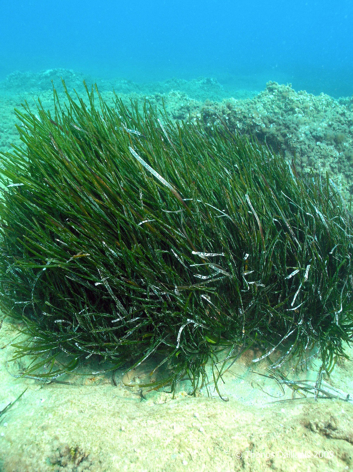 cretaquarium educational programs