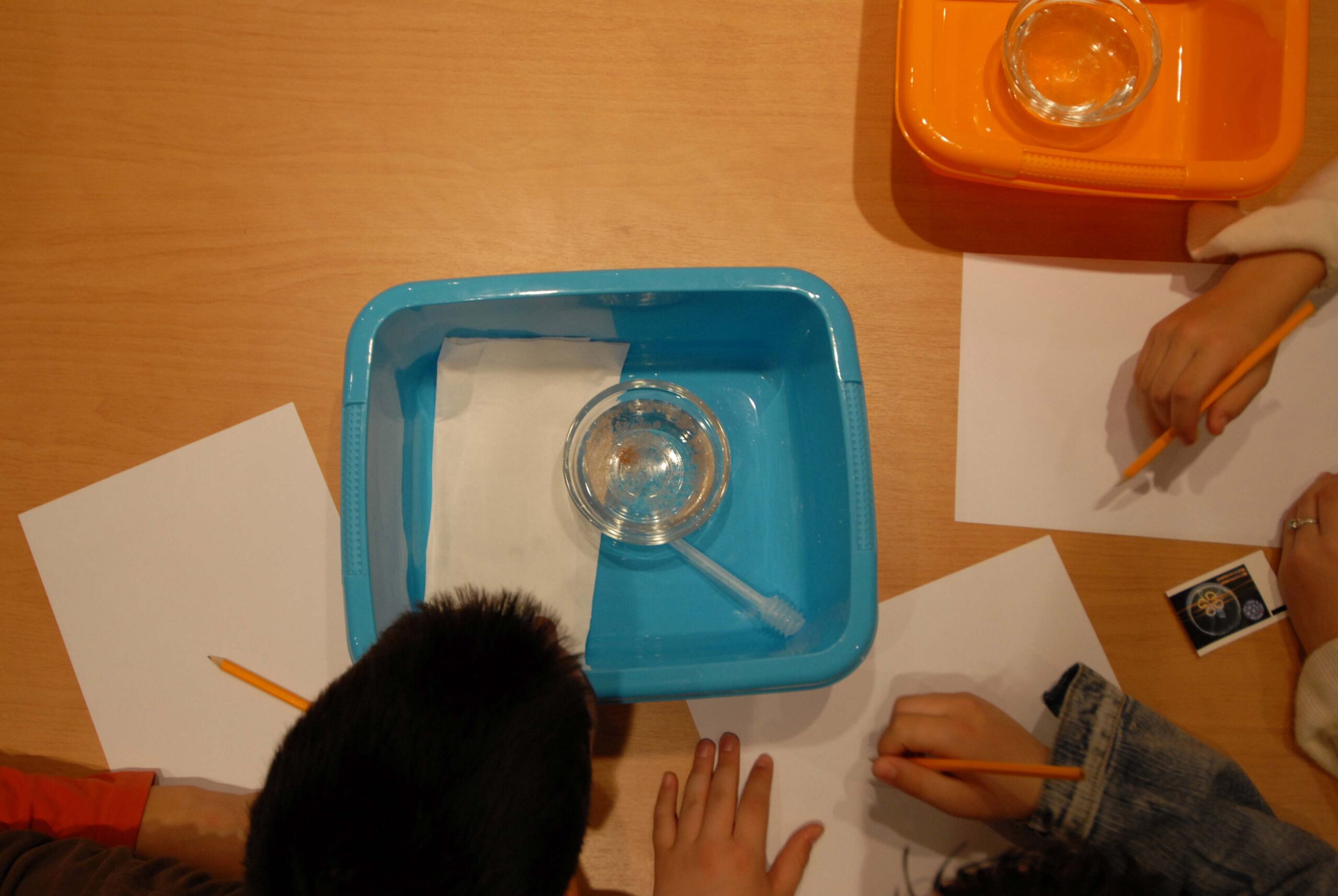 cretaquarium educational programs