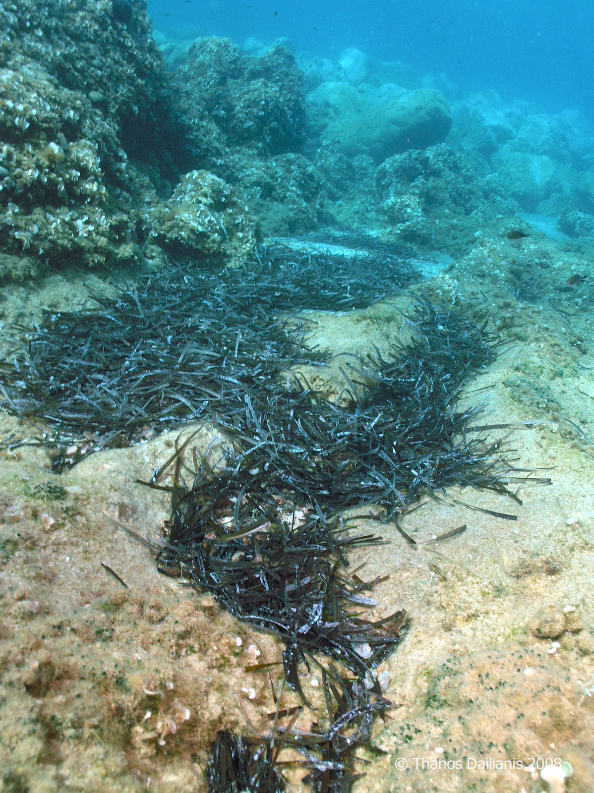 cretaquarium educational programs