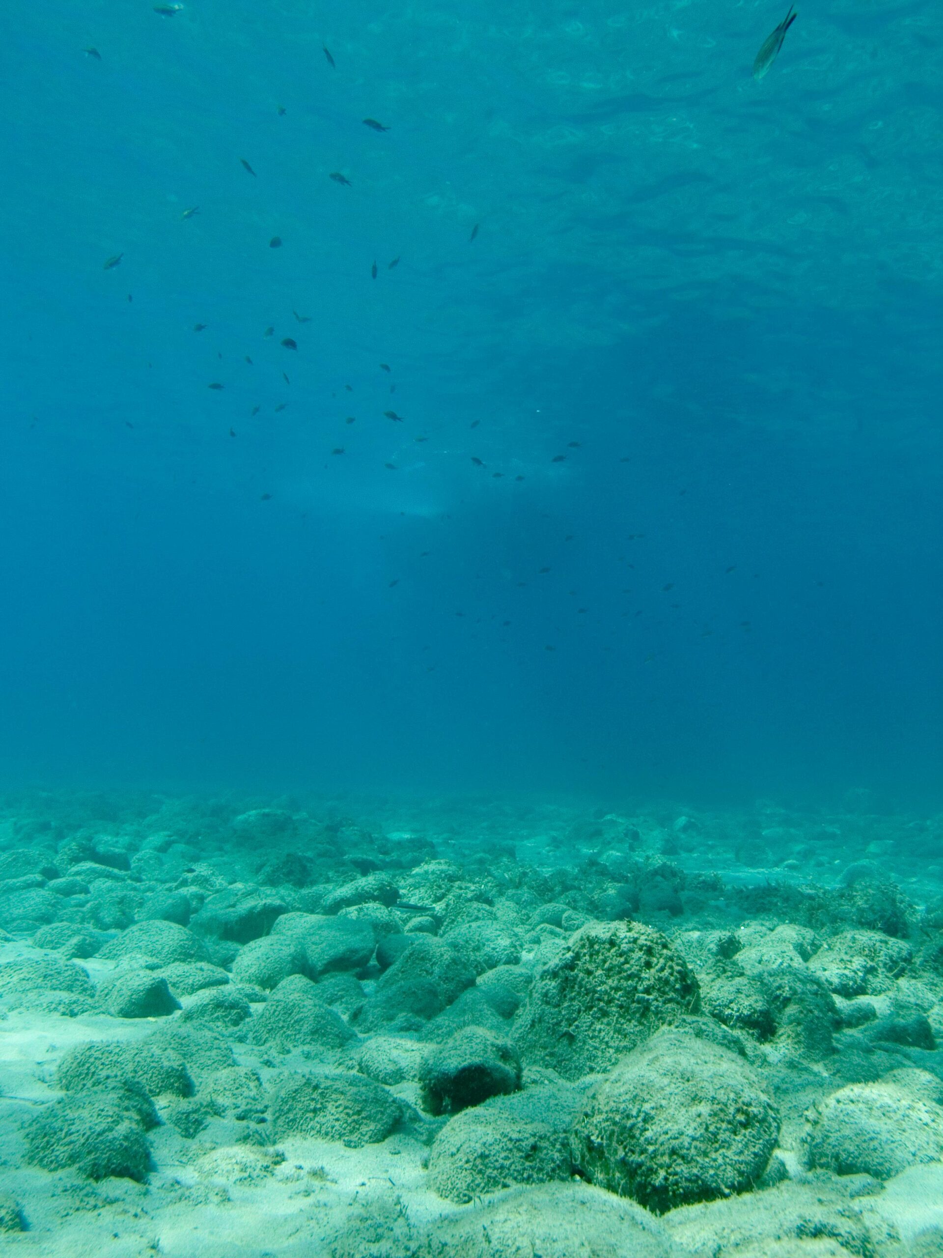 cretaquarium educational programs