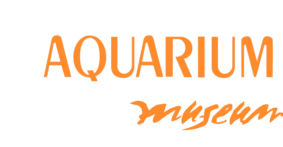 rhodes aquarium logo