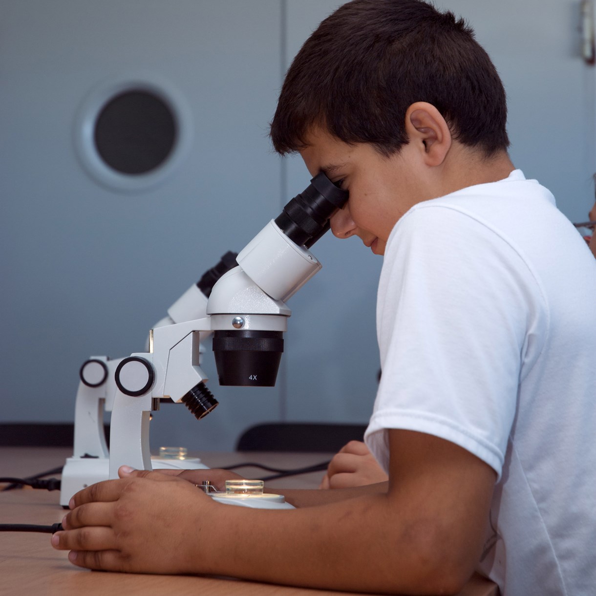 cretaquarium educational program