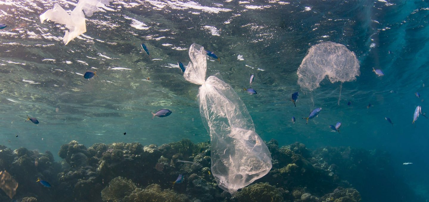 cretaquarium educational program