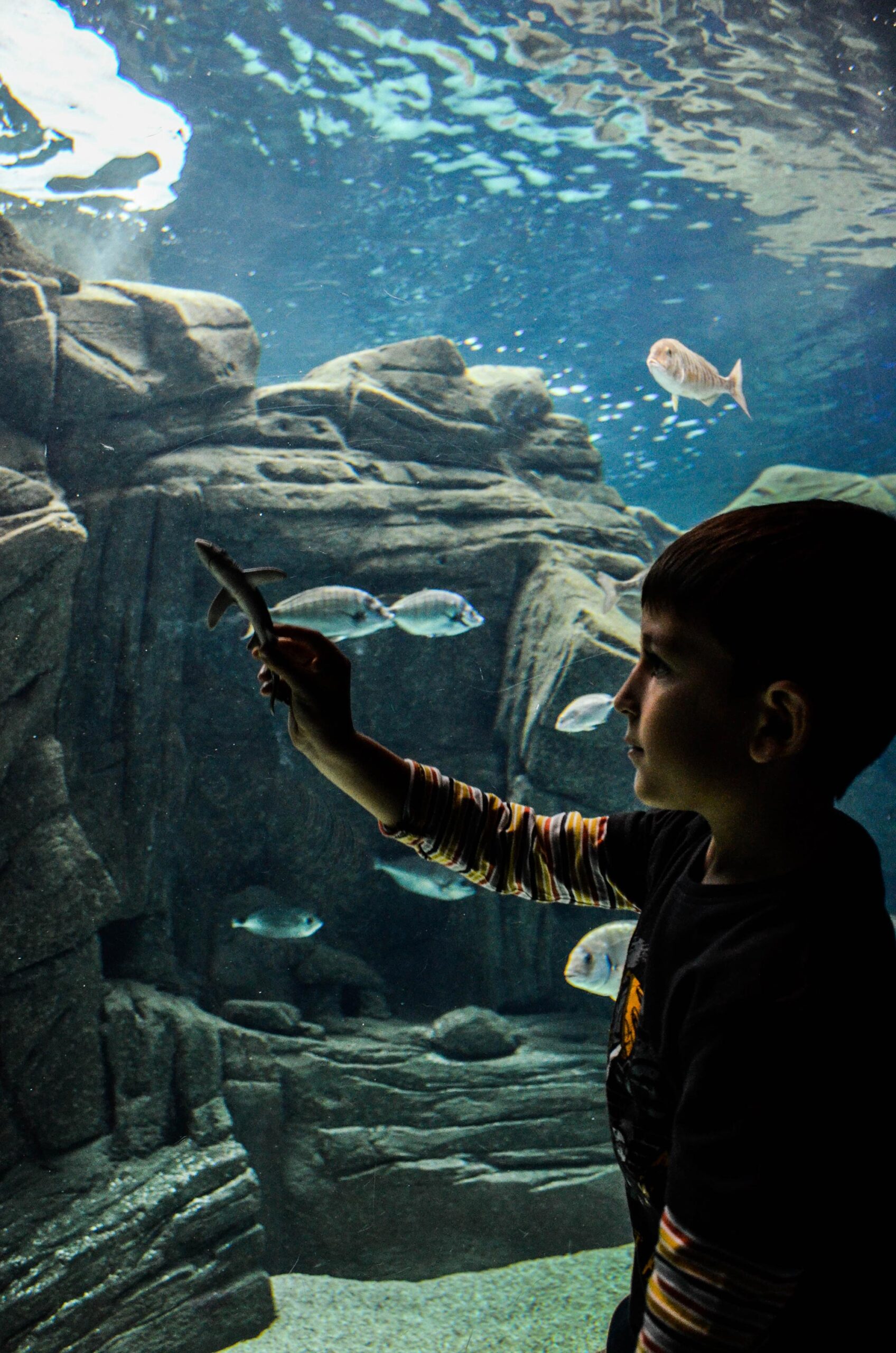 cretaqurium aquarium crete