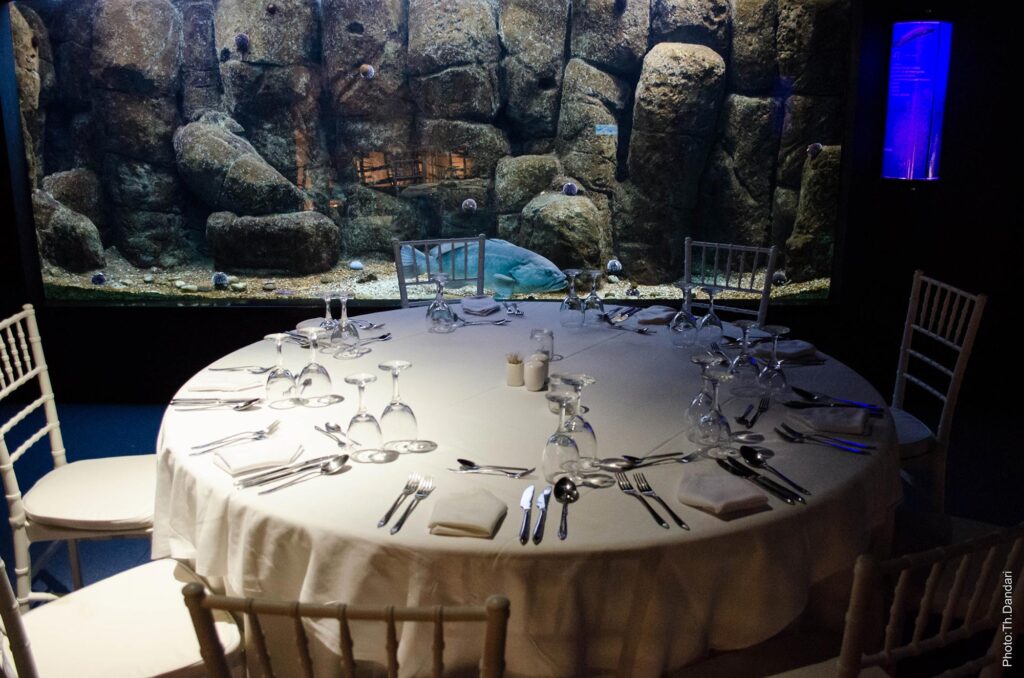 cretaqurium aquarium crete event hosting