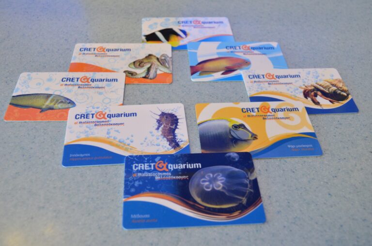 cretaquarium (211)