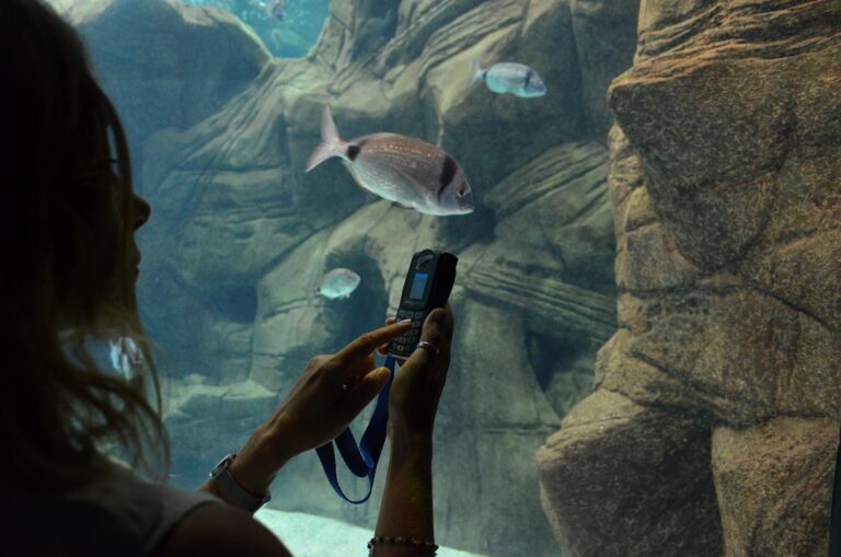 cretaquarium_prom-59