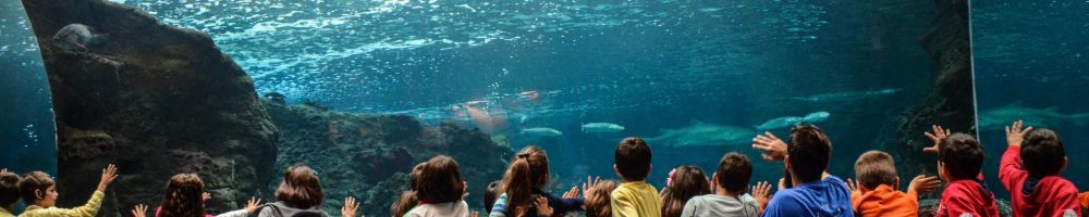 cretaquarium image gallery marine education